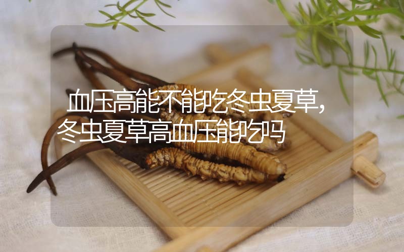 血壓高能不能吃冬蟲夏草，冬蟲夏草高血壓能吃嗎？