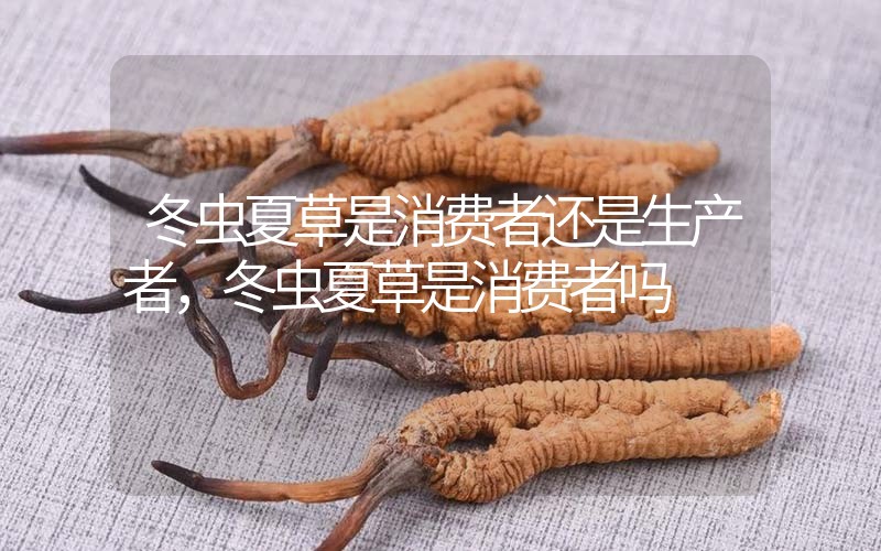 貧血吃冬蟲夏草有效果嗎，貧血虛弱者可以用冬蟲夏草嗎？