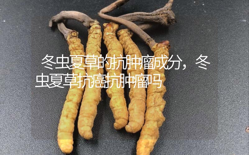 冬蟲夏草的抗腫瘤成分，冬蟲夏草抗癌抗腫瘤嗎？
