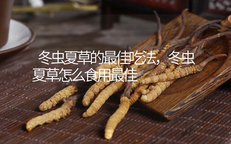 冬蟲(chóng)夏草的最佳吃法，冬蟲(chóng)夏草怎么食用最佳