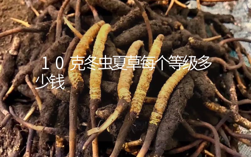 10克冬蟲夏草每個(gè)等級多少錢？