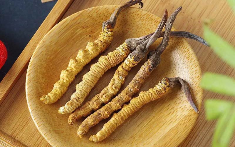 冬蟲夏草作用可以調(diào)節(jié)身體肝臟功能嗎？