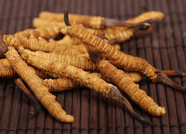 什么樣的冬蟲夏草算是優(yōu)質的？
