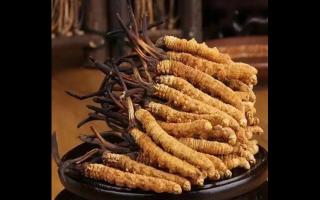 為什么藏民手里的蟲草比網(wǎng)上貴？