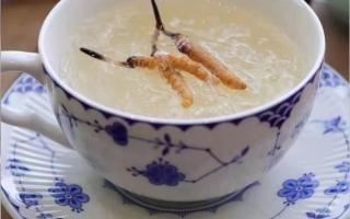 冬蟲夏草燉燕窩怎么做？