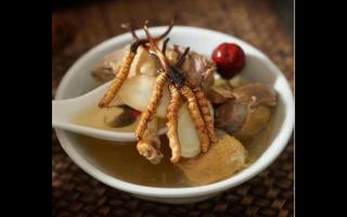豐富滋補(bǔ)選擇：探索冬蟲(chóng)夏草的美味吃法！