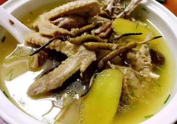 冬蟲夏草和哪些食材可以一起煲湯？