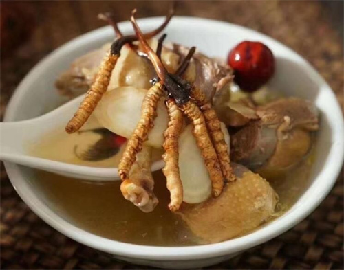 小孩子可以吃冬蟲夏草嗎？