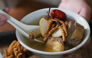 冬蟲夏草搭配有道，滋養(yǎng)肺部效果妙