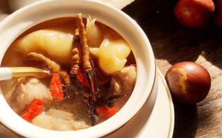 冬蟲夏草與什么泡水喝？養(yǎng)生搭配指南