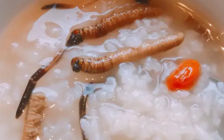 冬蟲(chóng)夏草適合哪些人群？精準(zhǔn)匹配與禁忌提醒