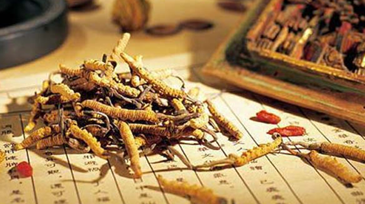 冬蟲(chóng)夏草適合老人吃嗎？科學(xué)分析與食用建議