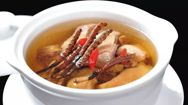 冬蟲夏草怎樣燉是最好的？掌握這幾步，營養(yǎng)不流失還美味