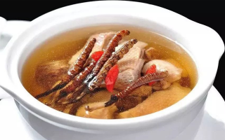 冬蟲夏草怎樣燉是最好的？掌握這幾步，營(yíng)養(yǎng)不流失還美味