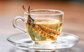 一瓶酒泡多少冬蟲夏草？科學(xué)搭配有講究