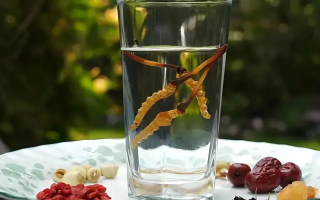 冬蟲(chóng)夏草能空腹泡水喝嗎？不同人群需區(qū)別對(duì)待