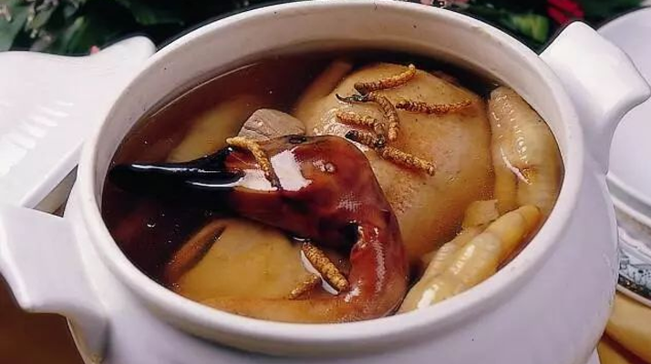 冬蟲夏草一克多少錢 