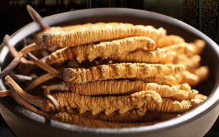 冬蟲夏草掰開后什么樣？從斷面細(xì)節(jié)識(shí)破品質(zhì)與真?zhèn)?> </div>
            <div   id=