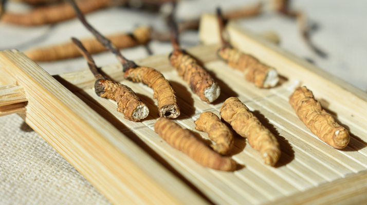 斷的<a href=http://www.xdo2o.com/ target=_blank class=infotextkey>冬蟲夏草</a>一克啥價(jià) 