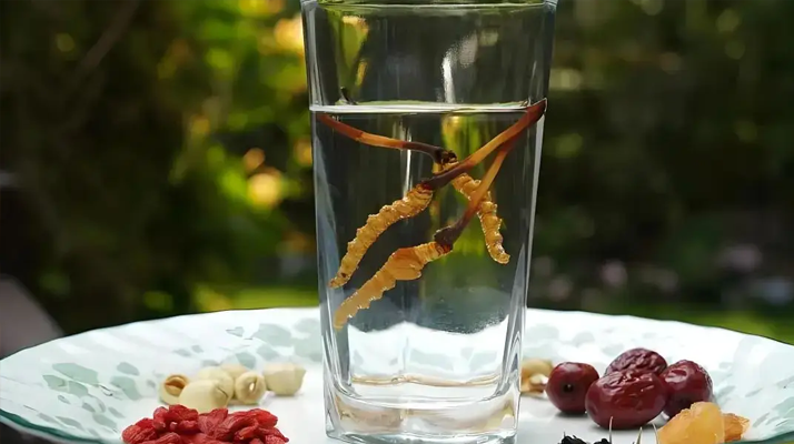 人參配蟲(chóng)草泡酒，泡多久才好喝 