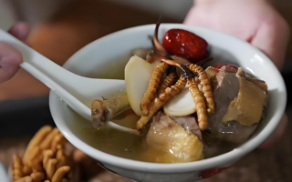  冬蟲夏草和什么食材搭配煲湯比較好？